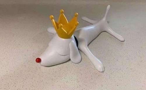 Yoshitomo nara aomori dog art - yoshitomo,