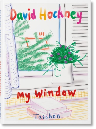 David hockney window - david, my