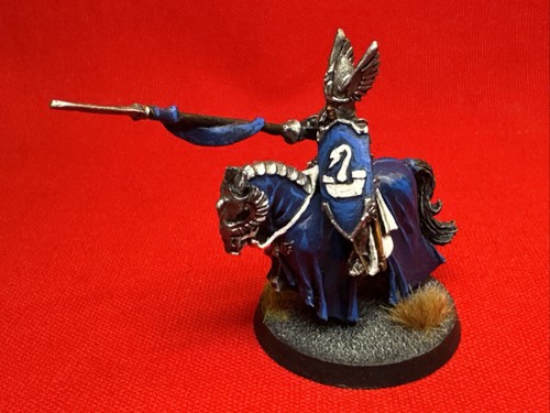 Swan knight dol amroth - knight, of