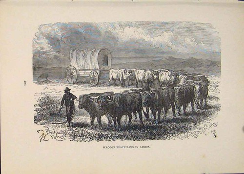 Original old antique print - old,