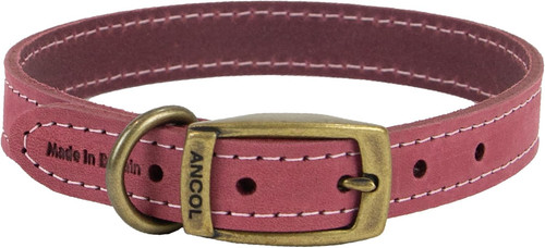 Timberwolf premium leather dog - leather,