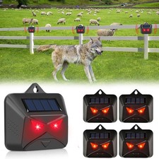 Solar Nocturnal Animal