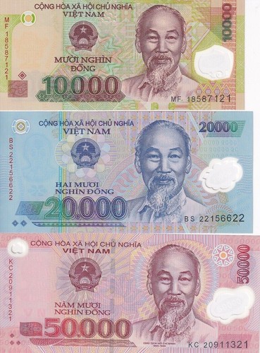 Vietnamese dong set polymer - dong,