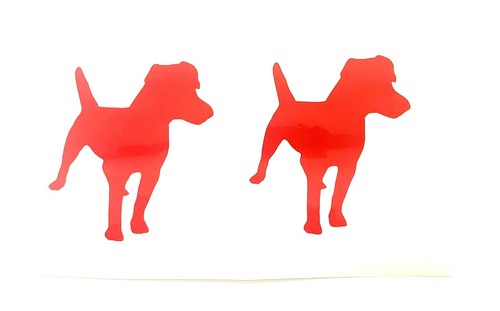 Patterdale terrier dog - terrier,