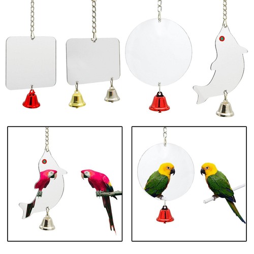 Bird cage mirror nest - bird,