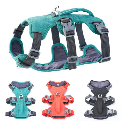 Escape proof dog - dog, harness