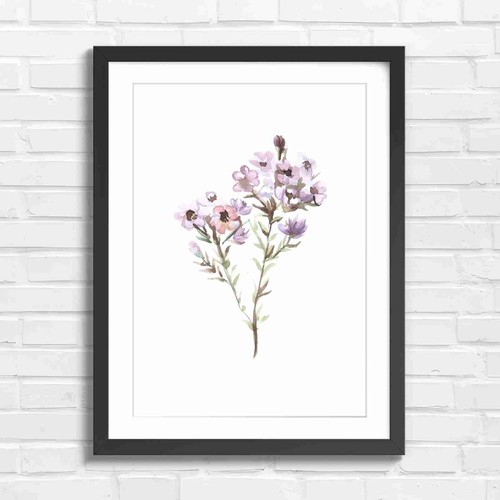 Delicate purple wildflower - delicate,