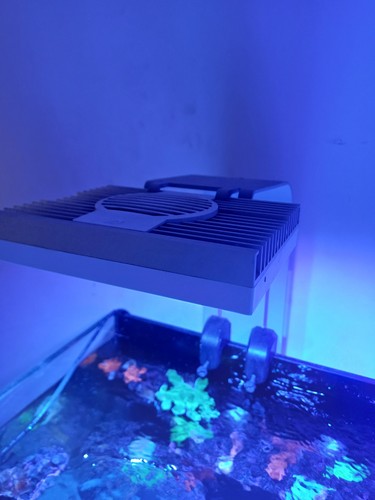 Hydra 26hd marine led - 26hd,
