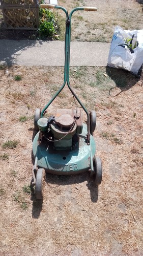 Hayter petrol lawn - petrol, green