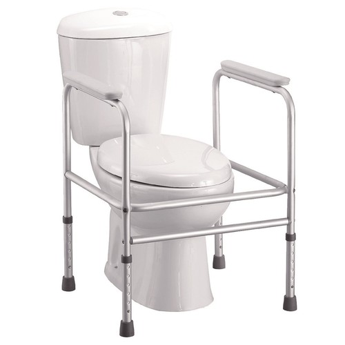 Toilet surround safety frame