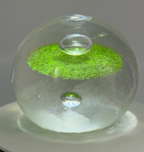 Caithness ciig paperweight - ciig,