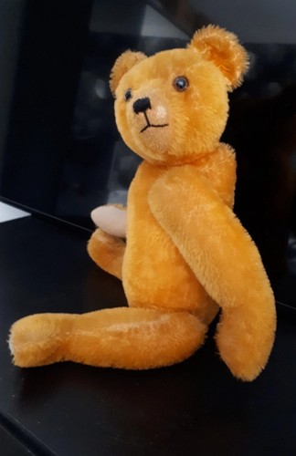 Antique teddy bear english - teddy,