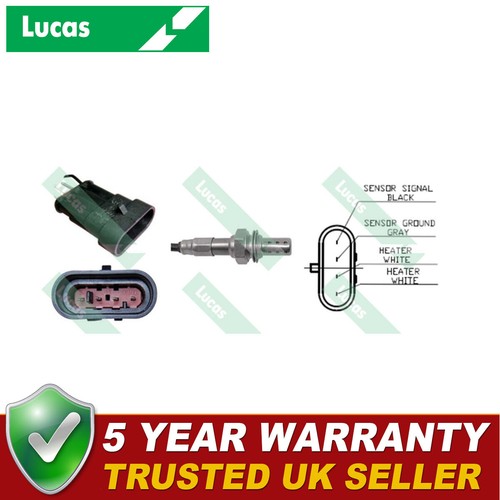 Lucas left lambda oxygen - lucas,
