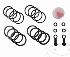 Brake caliper repair for