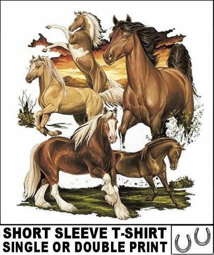 Beautiful palomino paint - beautiful,