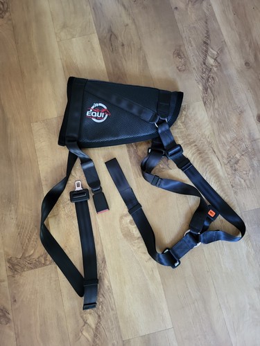 Equitravel safe anti - equitravel, rear
