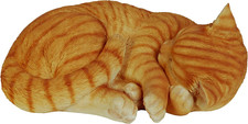 Ginger Size B Real Life Sleeping Cat
