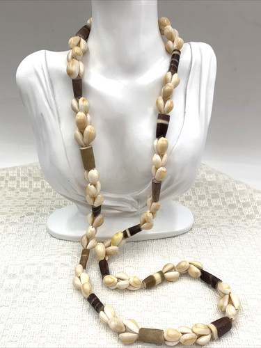 Cowrie sea urchin spine - urchin,