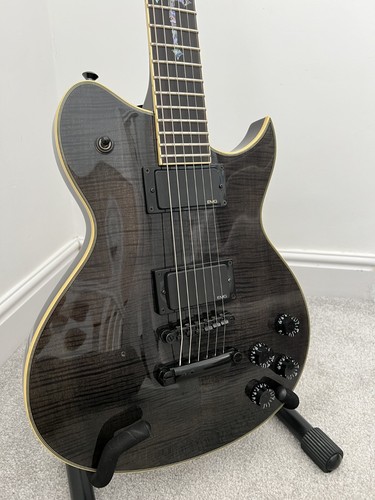 Washburn idol wi66 proe - washburn,