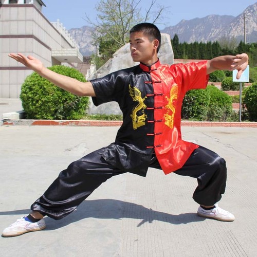 Traditional chinese martial - traditional,