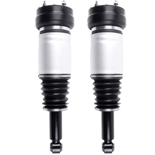 Rear air suspension struts - air,