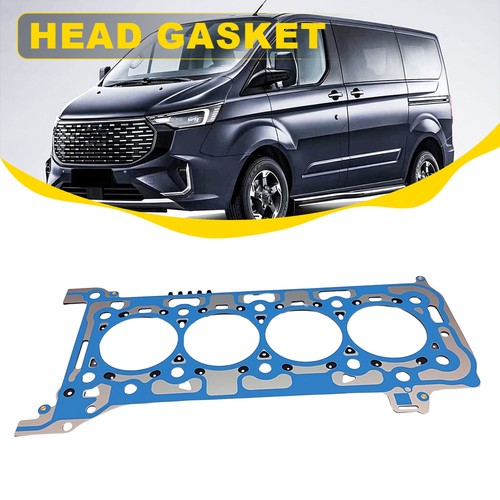 Cylinder head gasket - cylinder,