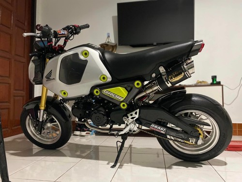 2021 2024 honda grom dual - grom,