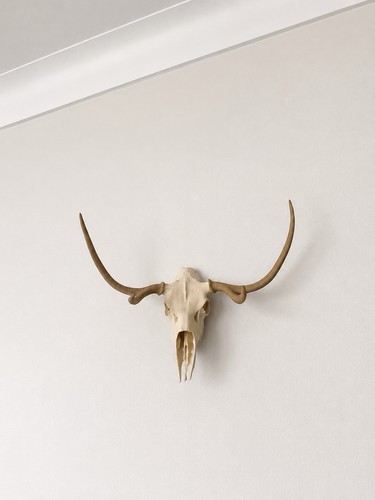 Wall mounted replica deer - ,