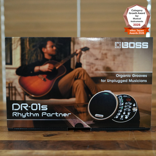Boss 01s rhythm partner - rhythm,