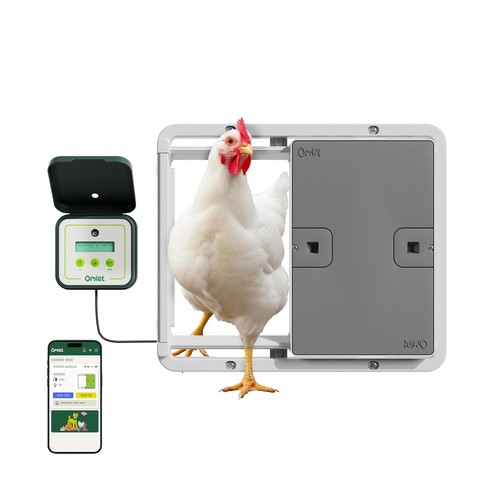 Omlet smart automatic chicken - smart,
