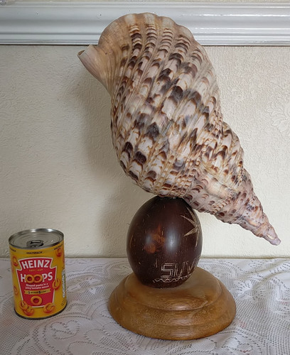 Large vintage suva fiji - , triton
