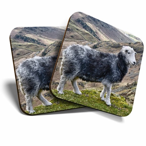 Coasters herdwick sheep - coasters,