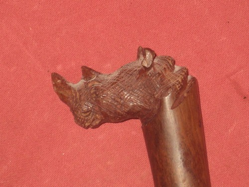Unusual rhinoceros head carved - rhinoceros,