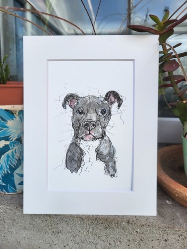 Blue grey staffordshire bull - blue,