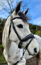 Comfort flash snaffle bridle - snaffle,