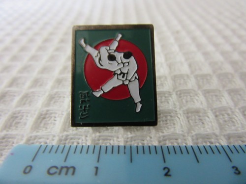 Judo martial arts - arts, badge