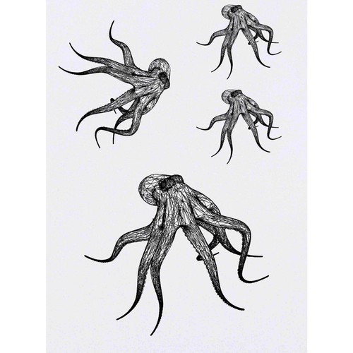 Wire frame octopus - frame, octopus'