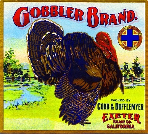 Exeter gobbler turkey - exeter,