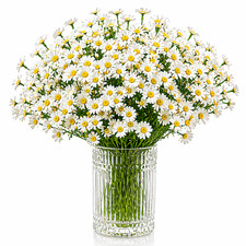 Artificial Daisy Flowers