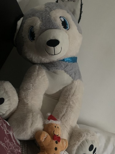 Extra large plush - , husky