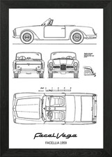 BNW Facel Vega Facellia 19