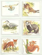Set of 6 - Sugar Puffs/Quaker Oats 1976 'Nature Trek' Cards
