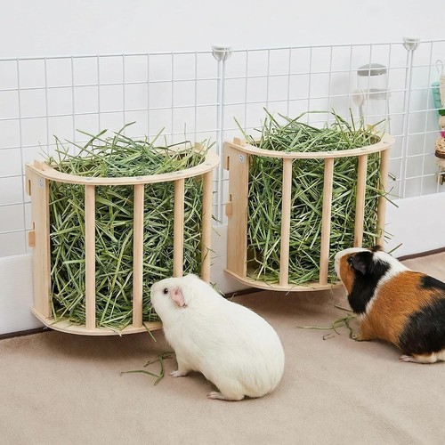 2pcs wooden guinea pig - 2pcs,