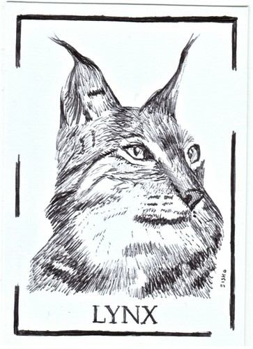 Aceo art sketch card - art, animal
