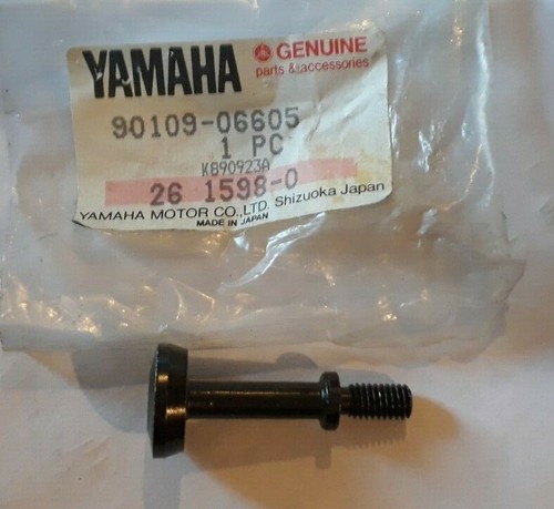 Yamaha cam cover bolt - cam,