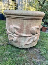 Large Terracotta Pot Lemon