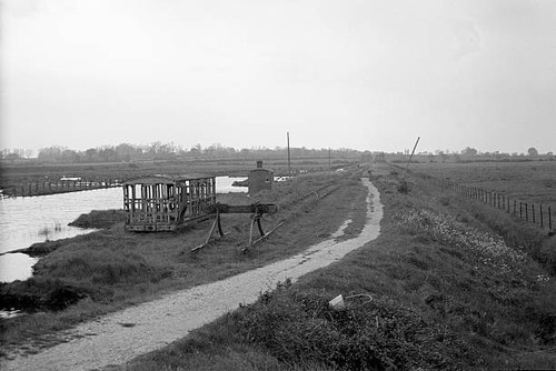 Old train photo terminus - train,