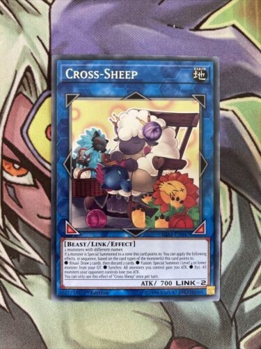 Igas en047 cross sheep rare - cross-sheep,