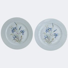 Limoges France Iris Pattern Plates Set Of 2 Fine Porcelain Dinnerware 21cm