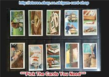 WILLS - GARDEN HINTS 1938 (G) ***PICK THE CARDS YOU NEED***